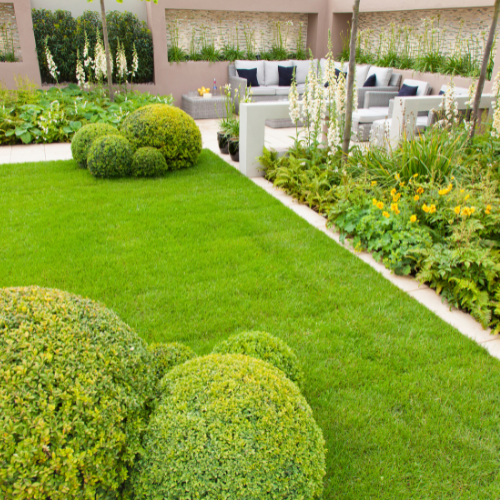 Landscaping Design Services