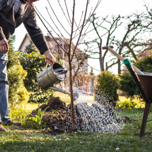 Garden Services