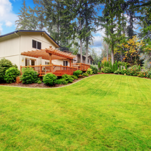 Sod Installation 